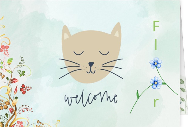 Voorkant geboortekaart